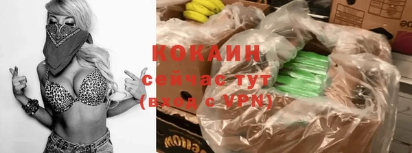 винт Пересвет