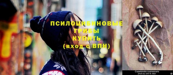 круглые Алексеевка