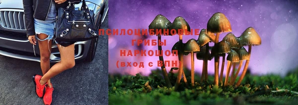 а пвп мука Алексин