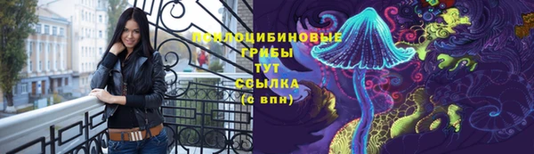 индика Алзамай