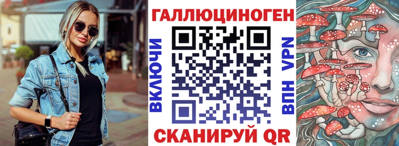 Псилоцибиновые грибы Psilocybe  купить  сайты  Дмитров 